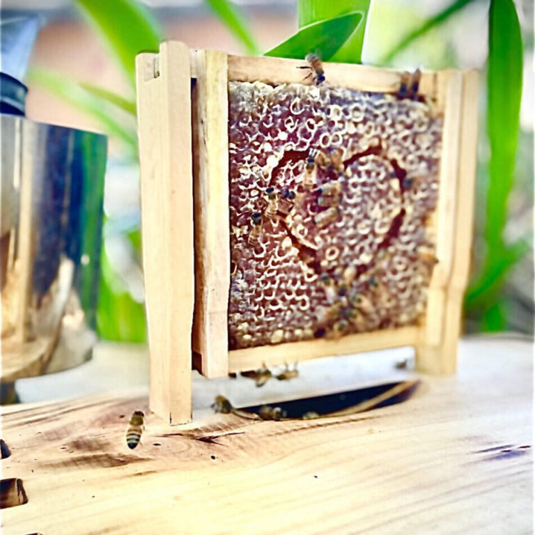 Everything Bee Beekeeping Supplies